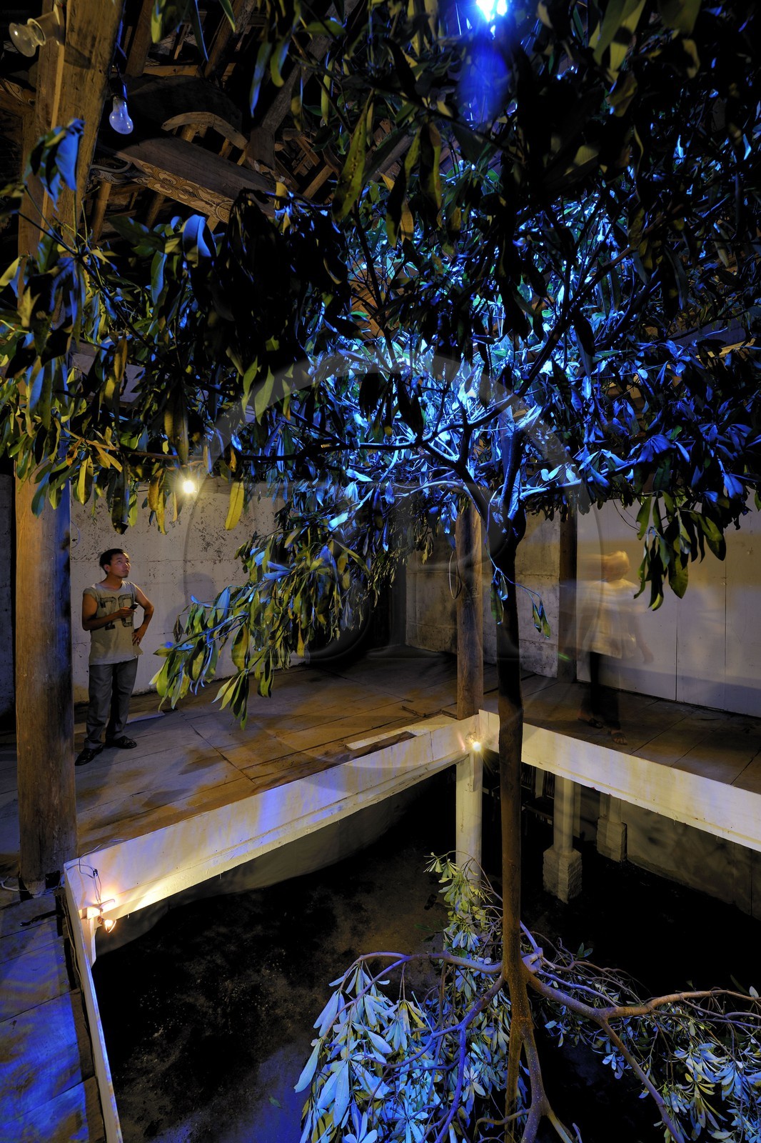 Vietnam, Hanoi, Duc’s stilt House, contemporary art exhibition in a collector's house, double reversed tree