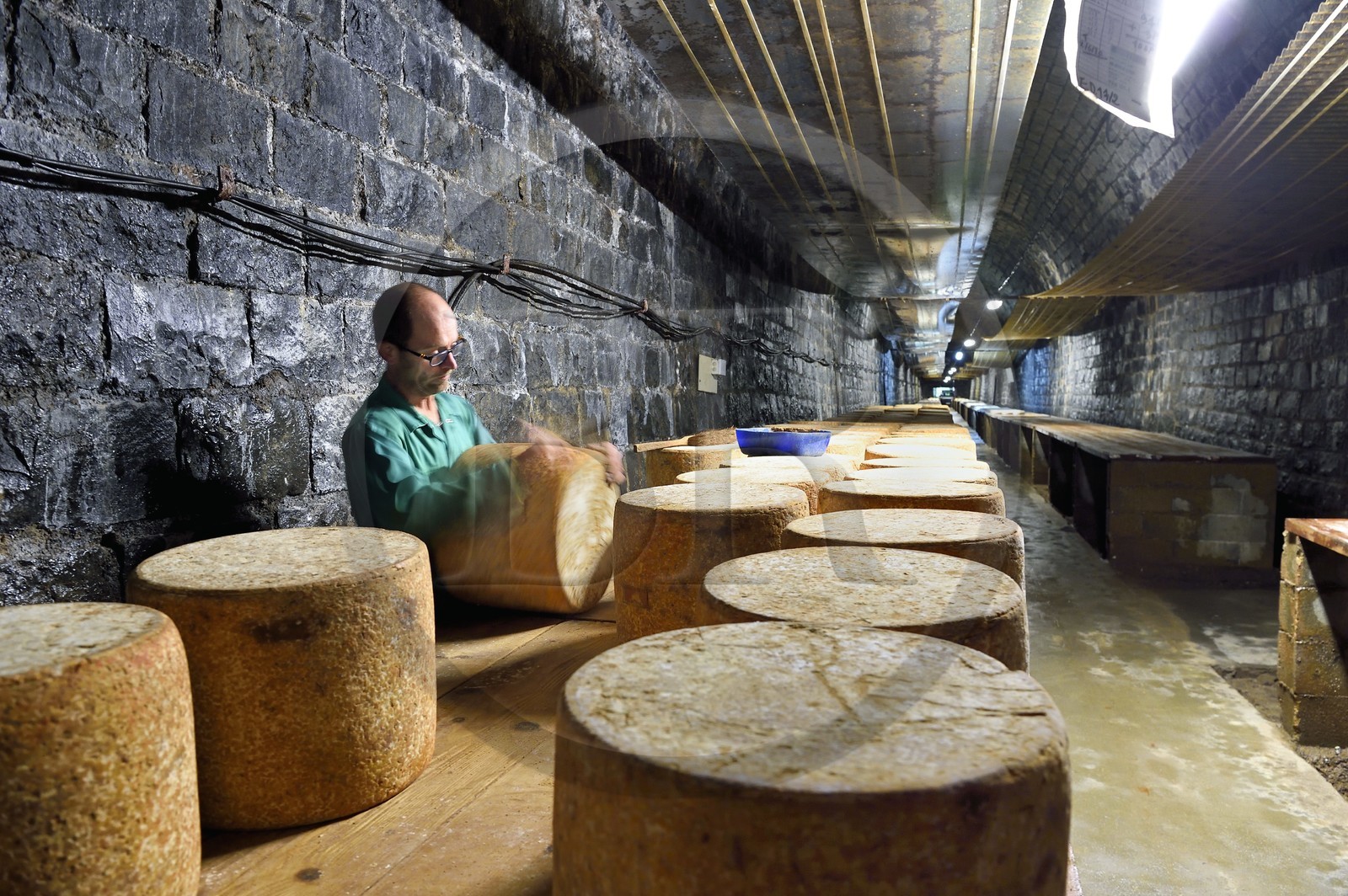 France, Cantal, La Chapelle Laurent, maturing cellar for Marcel Charrade cheeses in the former one kilometer long railway tunnel of the Saint-Flour - Brioude line, the refiner Gautier Bouchet turns the wheels of Cantal cheese