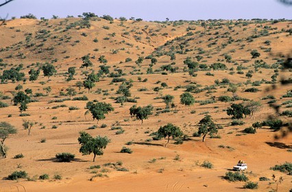 Mali, Dogon Country, Nombori, the sandy plain at feet of the Bandiagara cliff, listed as World Heritage by UNESCO