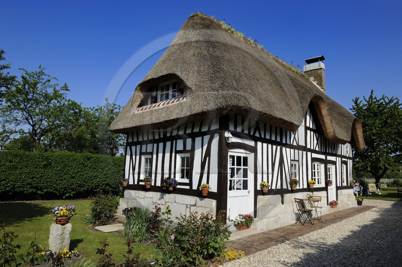 France, Seine-Maritime (76), Port Jumièges, maison normande à colombages