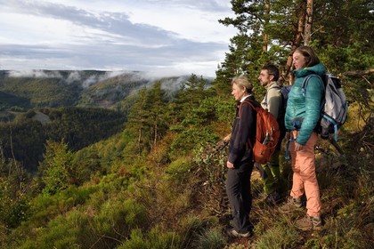 France, Ardeche, parc naturel regional des Monts d'Ardeche (Regional natural reserve of the Mounts of Ardeche), Mezenc Massif, Lac d'Issarles forest, hikers at the top of Montchamp overlooking the Loire Valley