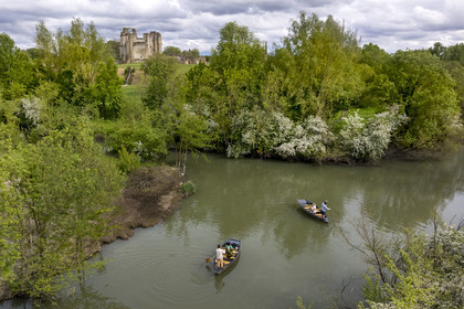 France, Vendée (85), Parc Interrégional du Marais Poitevin labellisé Grand Site de France, Maillezais, batelier effectuant une promenade en barque sur les affluents de l'Autise, les vestiges de l'abbaye Saint-Pierre de Maillezais en arrière plan (vue aérienne)