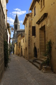 France, Gard, region of the Pays d'Uzege, Castillon-du-Gard, narrow street of the old village