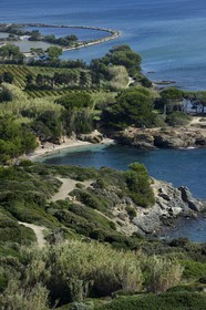 France, Var, Ile des Embiez, Pointe du Coucoussa, the Coucoussa beach