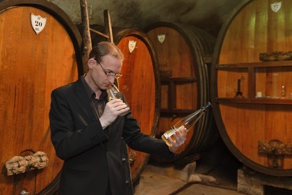 France, Bas-Rhin (67), Route des Vins d'Alsace, Mittelbergheim, labellisé Les Plus Beaux Villages de France, dans les caves du Domaine Wittmann, Romain Iltis, meilleur Sommelier de France en 2012