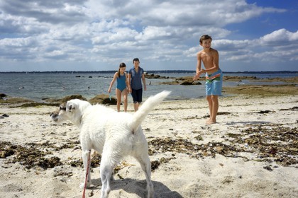 France, Finistère (29), Concarneau, plage de la Corniche