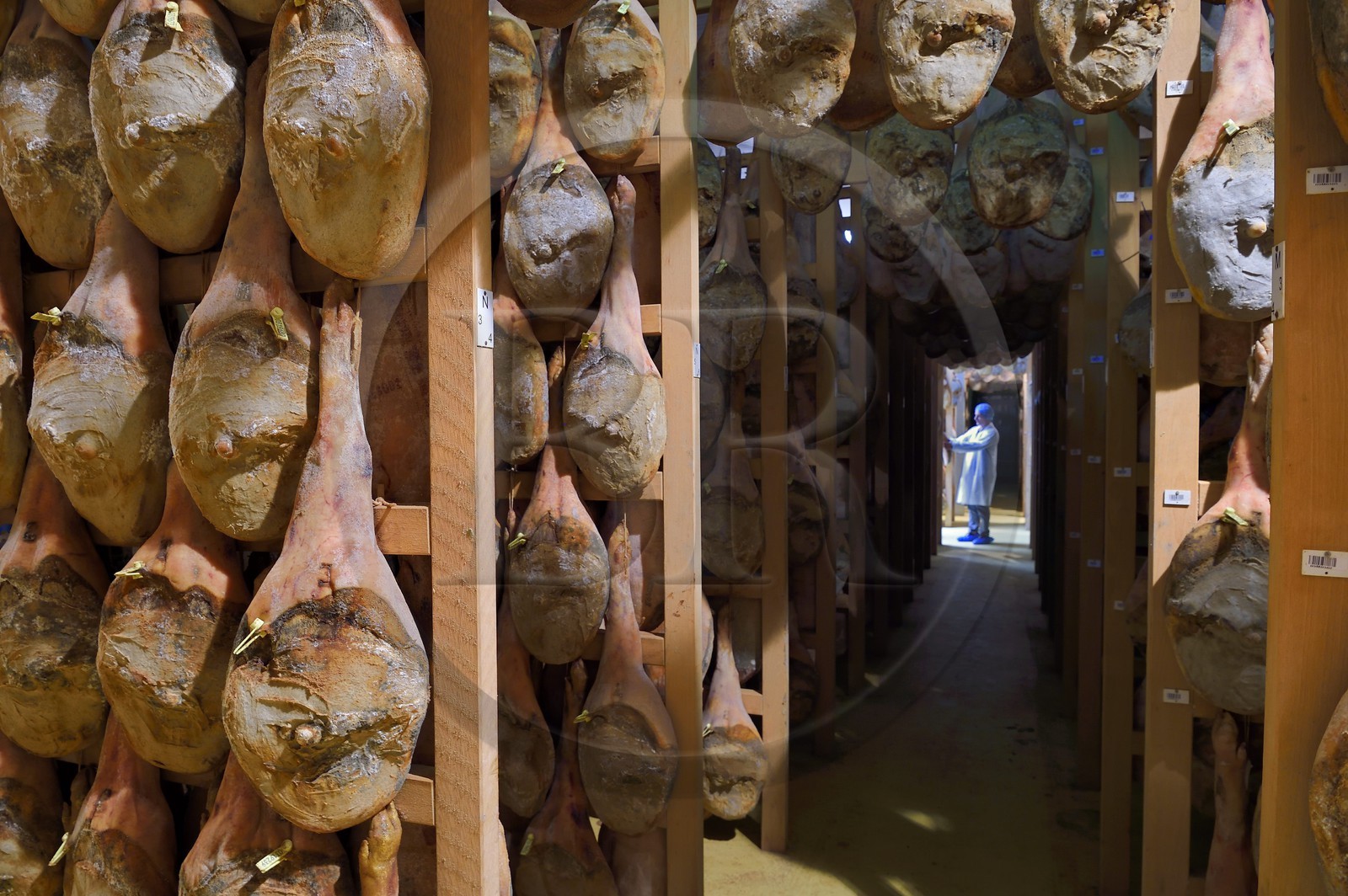 France, Pyrénées-Atlantiques (64), Pays-Basque, vallée des Aldudes, le Séchoir Collectif des Aldudes assure une prestation de séchage et l'affinage de jambons, zone de l'affinage