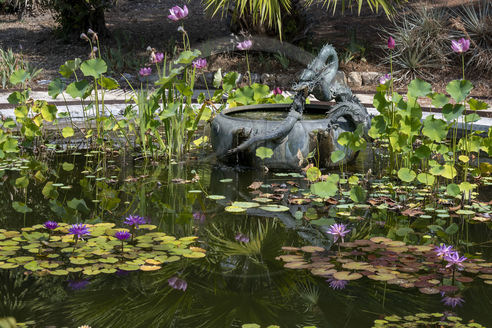 France, Alpes-Maritimes (06), Menton, quartier de Garavan, le jardin de Maria Serena, le bassin de la Fontaine au Dragon (ancienne fontaine japonaise qui a appartenue à un shogun)