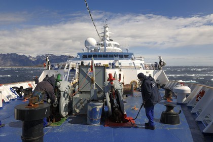 Greenland, Nanortalik Fjord, Princess Danae cruise ship moving between the icebergs