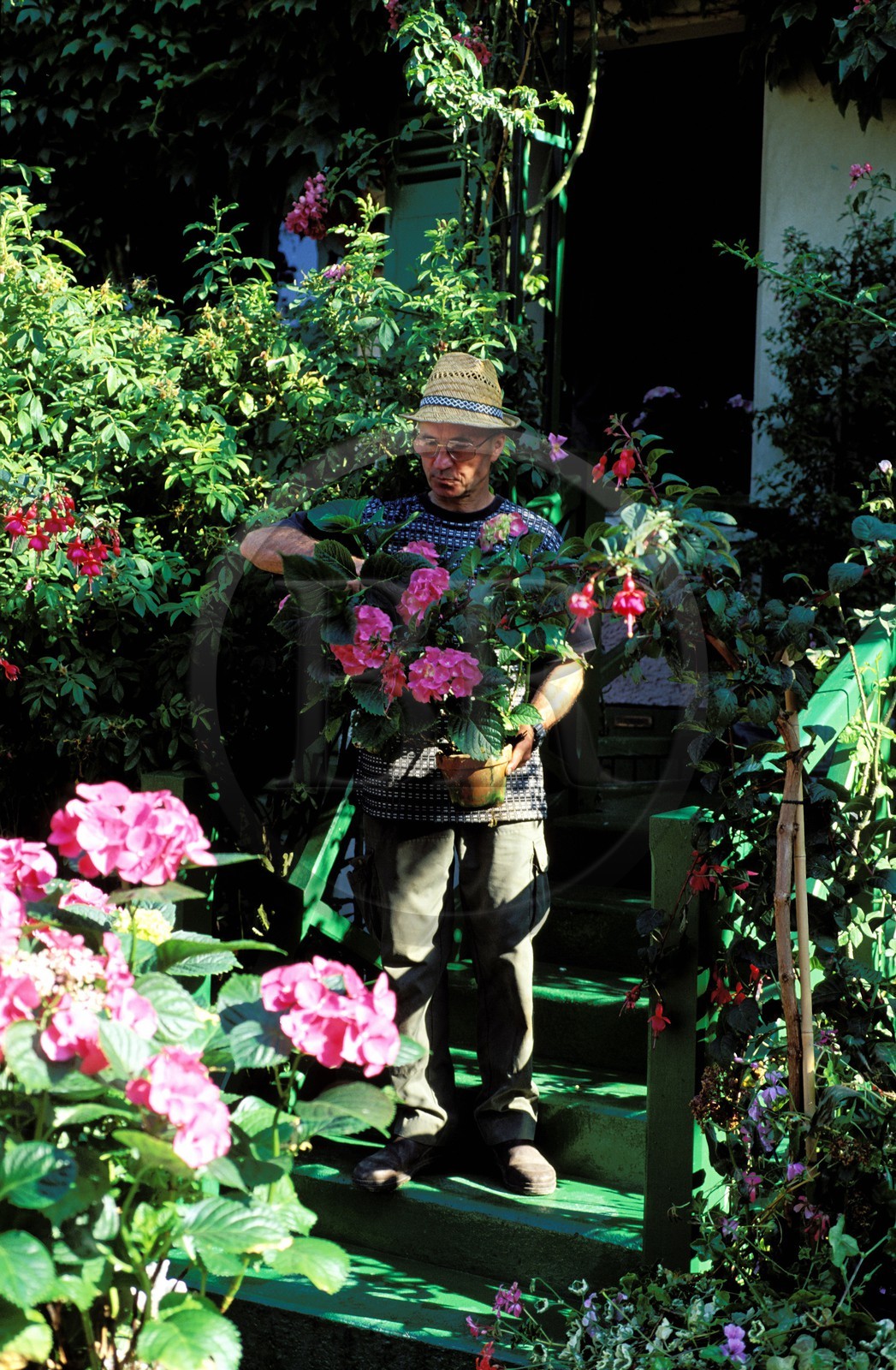 France, Eure (27), Giverny, le jardin de Claude Monet