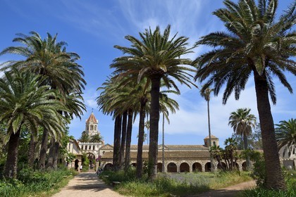 France, Alpes-Maritimes (06), Cannes, Iles de Lérins, Ile de Saint-Honorat, Abbaye de Lérins, l'église abbatiale du monastère