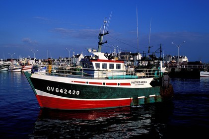 France, Finistere, return of fishing in the port of the Guilvinec