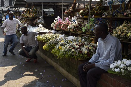 Zimbabwe, Harare, fleuristes sur la place African Unity Square (anciennement Cecil Square)