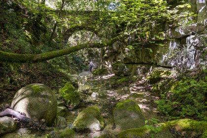 France, Vaucluse, Dentelles de Montmirail mountains, Sablet, the Trignon river overlooked by the old bridge of the ruined 7th century abbey of nuns in the Prébayon valley