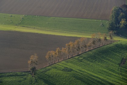 France, Seine-Maritime (76), Sainte-Foy, la campagne à l'automne (vue aérienne)