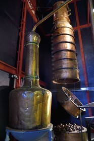 France, Reunion island (French overseas department), Saint Pierre, estate of the Isautier distillery, museum of the Rum Saga, distillation column that replaces the still in the foreground