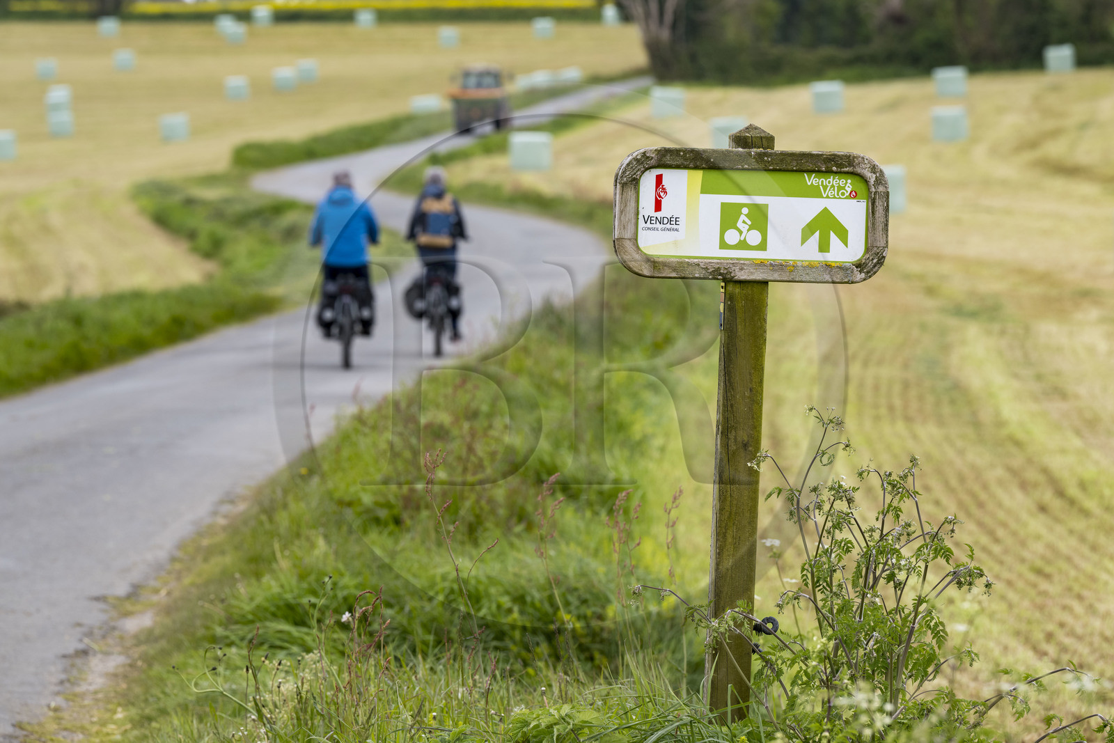 France, Vendée (85), Saint-Mesmin, randonnée cycliste sur la piste de la véloroute Vendée Vélo Tour, panneau de la Vendée Vélo