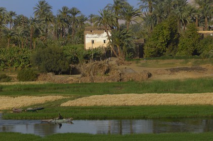 Egypt, Upper Egypt, Nile Valley, fishing barque on the Nile river between Luxor and Esna