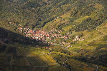 France, Bas-Rhin (67), le village de Reichsfeld et son vignoble dans le massif des Vosges (photo aérienne)