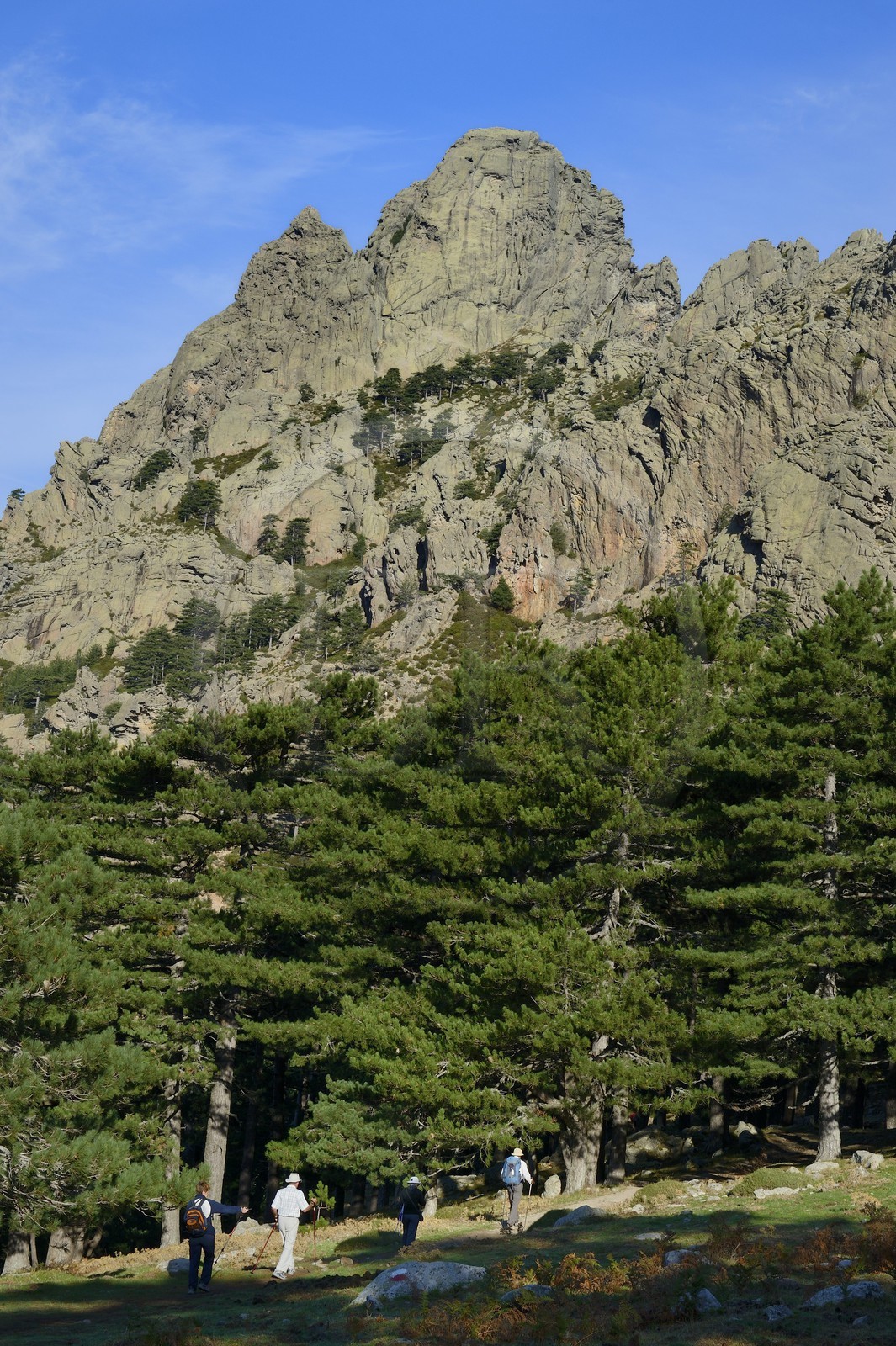 France, Corse-du-Sud (2A), Alta Rocca, Aiguilles de Bavella, randonneurs sur le chemin de randonnée GR 20