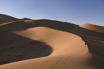 Iran, Yazd province, Dasht-e Kavir desert, Moghestan, hiking in the dune system which highest dune reaches 200 meters