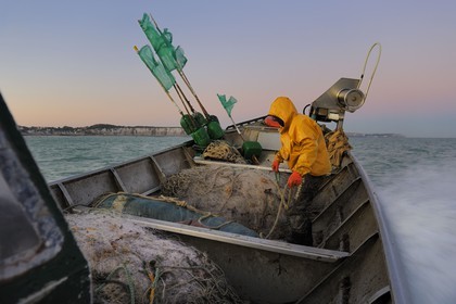 France, Seine-Maritime (76), au large de Veules-les-Roses à l'aube, pêche au filet à bord du bateau La Pomme appartenant à Anthony Paumier le plus jeune patron de pêche de France