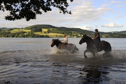 France, Nièvre (58), lac de Pannecière, découverte équestre du lac