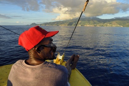Caribbean, Dominica Island, Sylvester, second on the boat, observes the west coast north of Mero