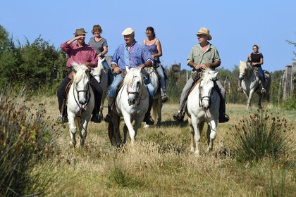France, Bouches du Rhone, Parc naturel regional de Camargue (Regional Natural Park of Camargue), manade Jacques Mailhan, riding gardians