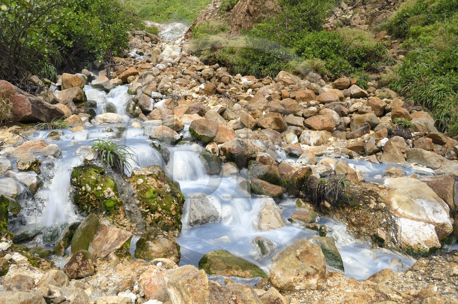 Caraïbes, Ile de la Dominique, Castle Bruce, Parc national du Morne Trois Pitons classé Patrimoine Mondial de l'UNESCO, la Vallée de la Désolation, rivière aux sources d'eau chaude dont la couleur unique est due à la présence de calcium, de carbone, de soufre et de fer, sur le sentier menant au Boiling Lake