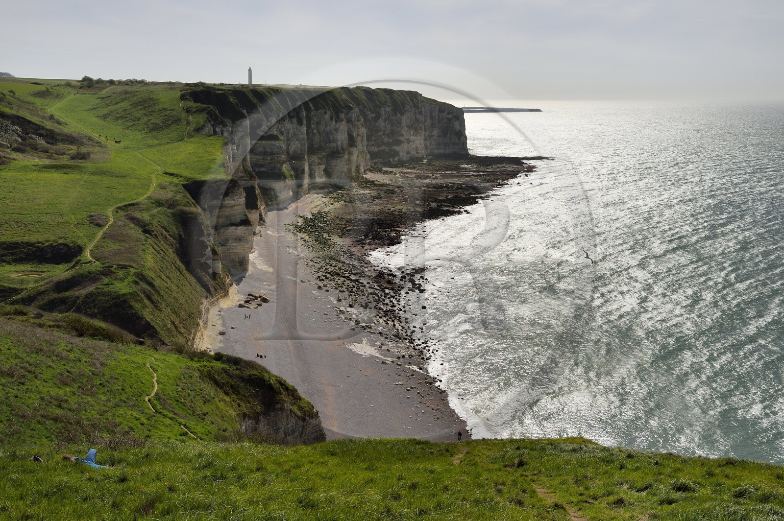France, Seine-Maritime (76), Pays de Caux, Côte d'Albâtre, Etretat, plage d'Antifer que longe le GR21