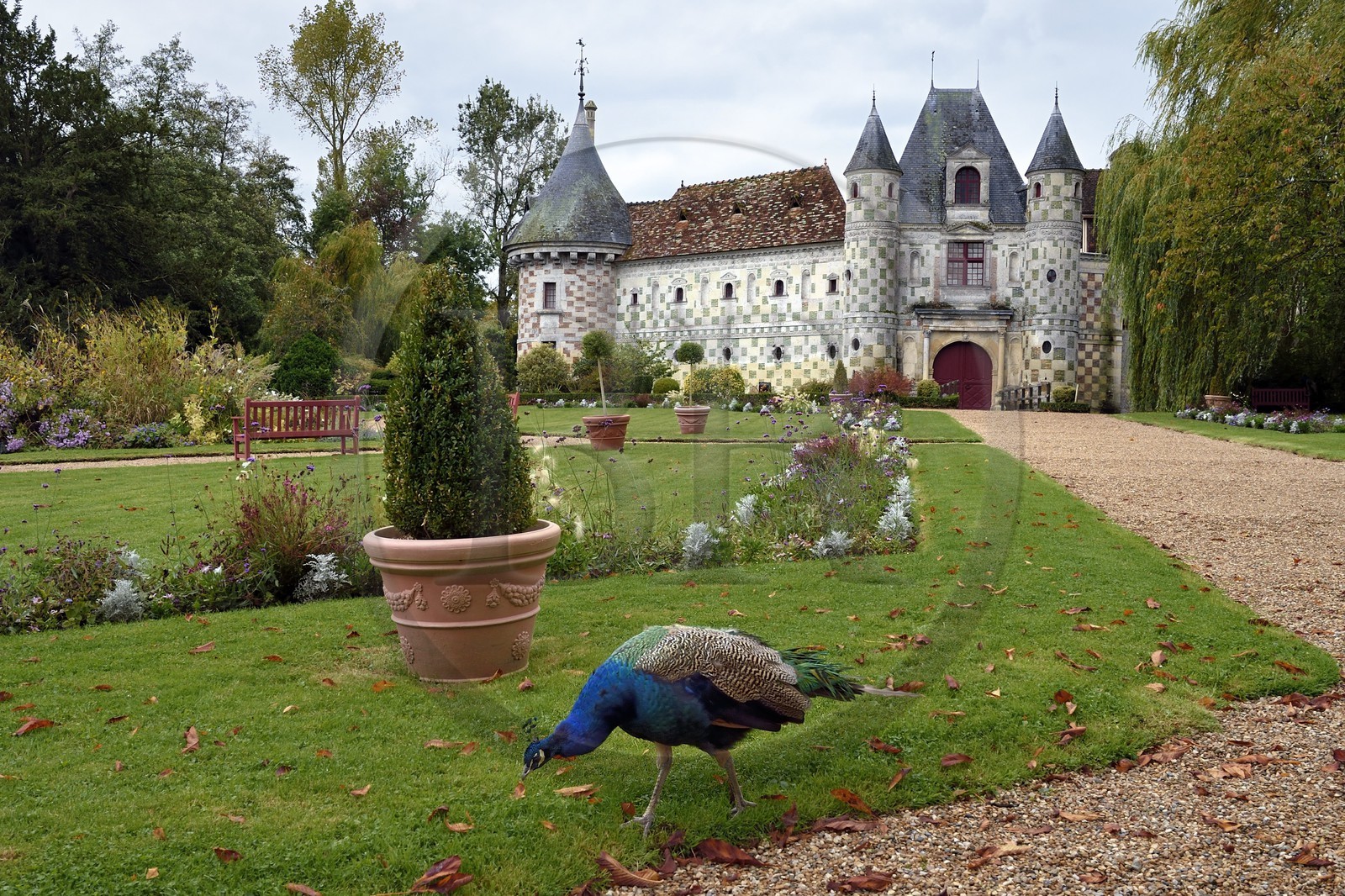 France, Calvados (14), Pays d'Auge, le chateau de Saint-Germain-de-Livet du XVe et XVIe siècle labellisé Musée de France