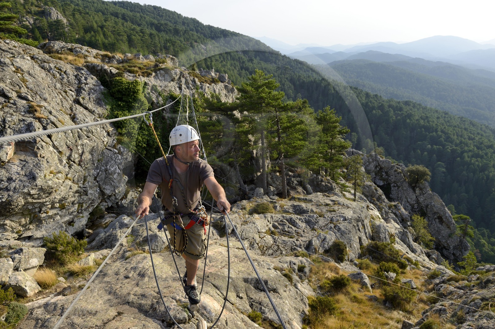 France, Corse-du-Sud (2A), Alta Rocca, massif de Bavella, la via ferrata du parc aventure Corsica Madness