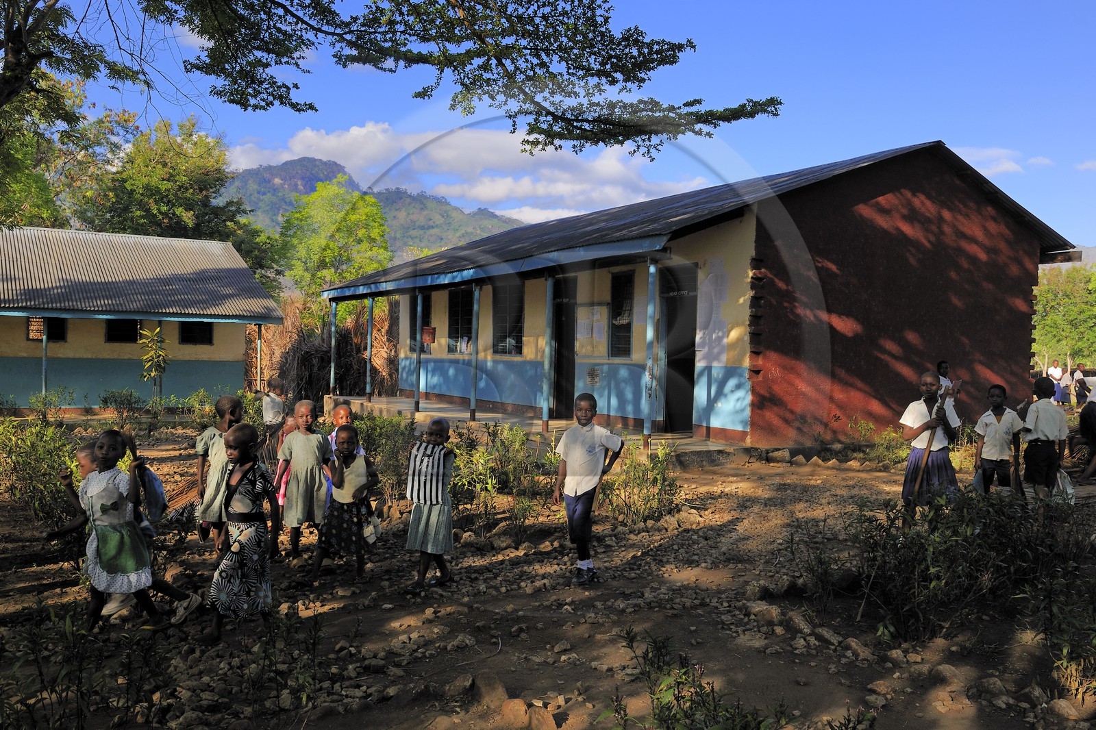 Tanzanie, région de Morogoro, les Monts Uluguru, école primaire du village de Kiroka