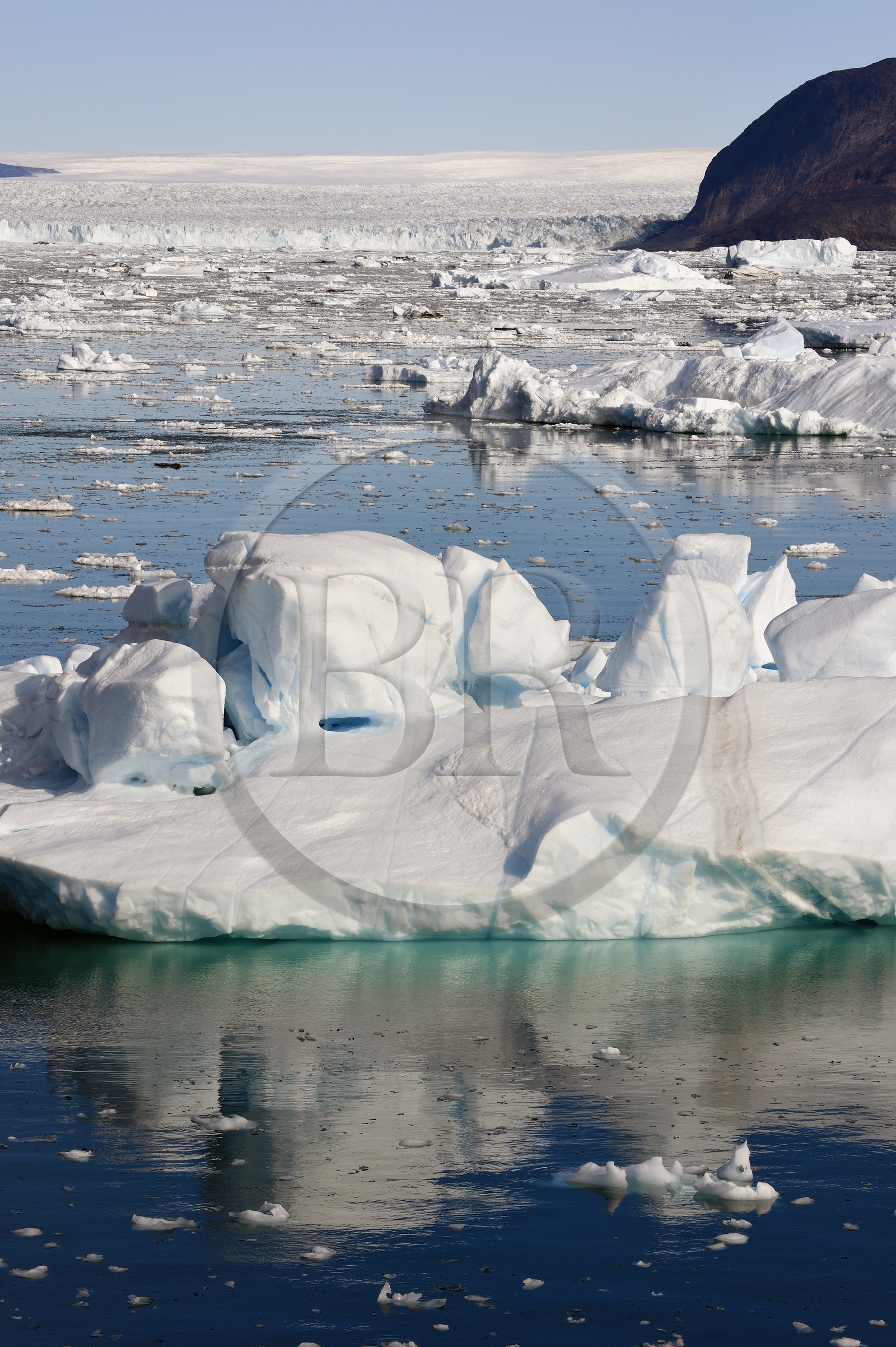 Groenland, cote ouest, baie de Disko, baie de Quervain, le glacier Kangilerngata sermia voisin du glacier Eqip Sermia (glacier Eqi) et icebergs au premier plan