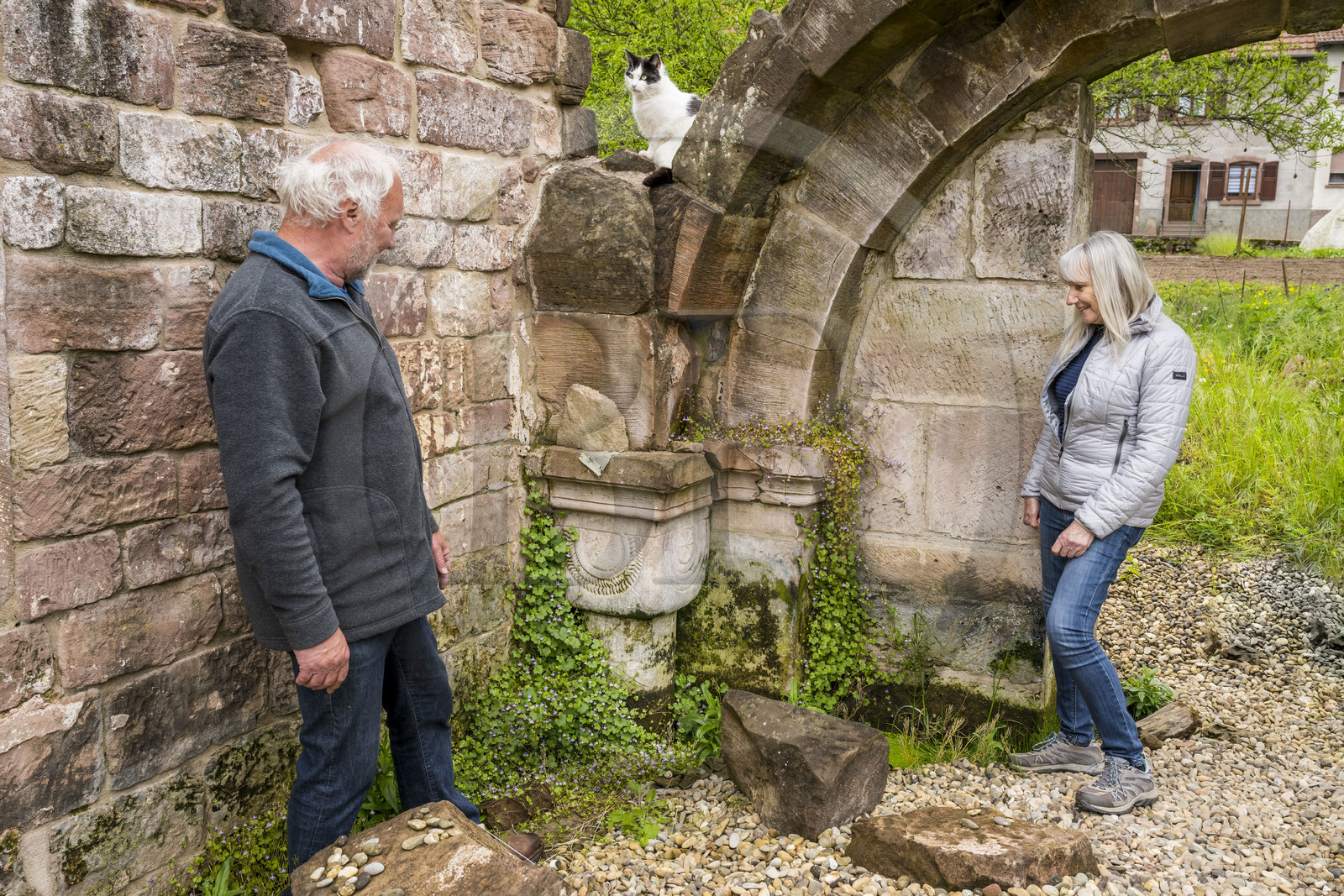 France, Bas-Rhin (67), Parc Naturel régional des Vosges du Nord, Eschbourg, ruines de l'abbaye bénédictine de Graufthal, vestiges d'une salle voutée du XIIème siècle, l'ancienne institutrice du village Annette Oster avec Marc Burckhart lui aussi l'ancien instituteur et président de l'association de mise en valeur du site de Graufthal