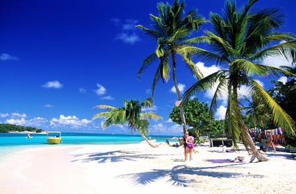 Caribbean sea, St Vincent and the Grenadines, Tobago Cays archipelago, beach of one of many uninhabited island