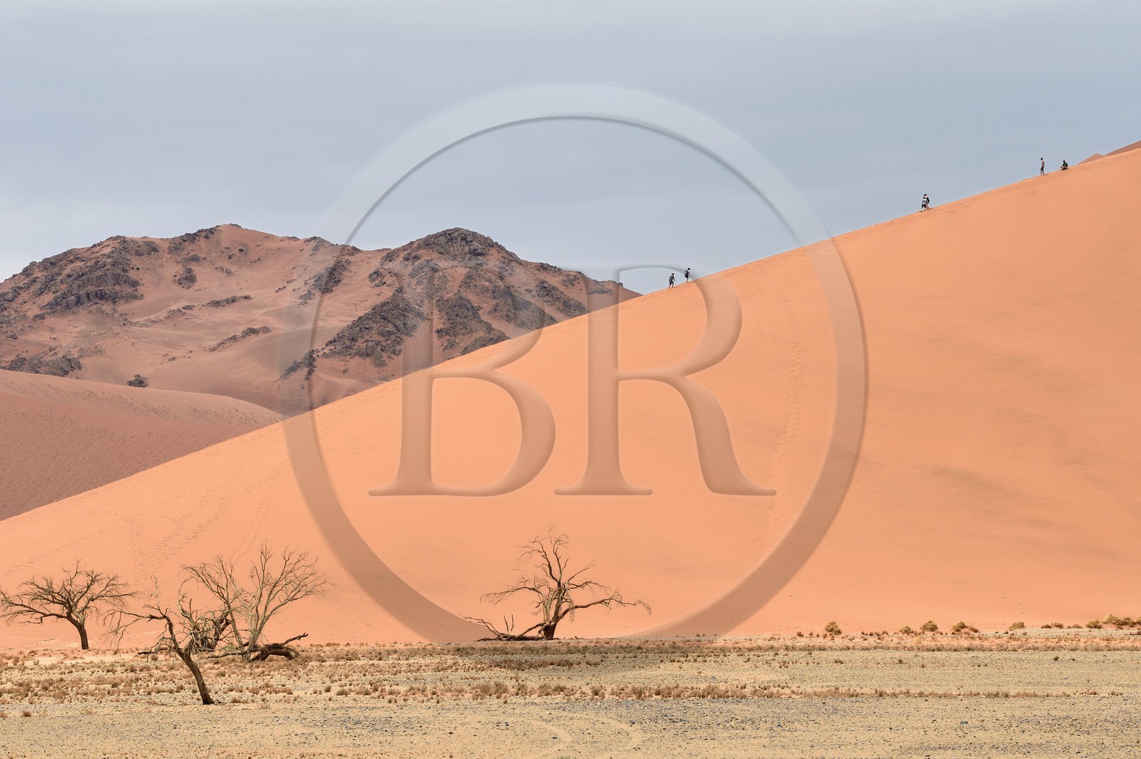 Namibie, région d'Hardap, désert du Namib, parc national du Namib-Naukluft, Erg du Namib classé Patrimoine Mondial de l'UNESCO, dunes de Sossusvlei, randonneurs sur la dune 45