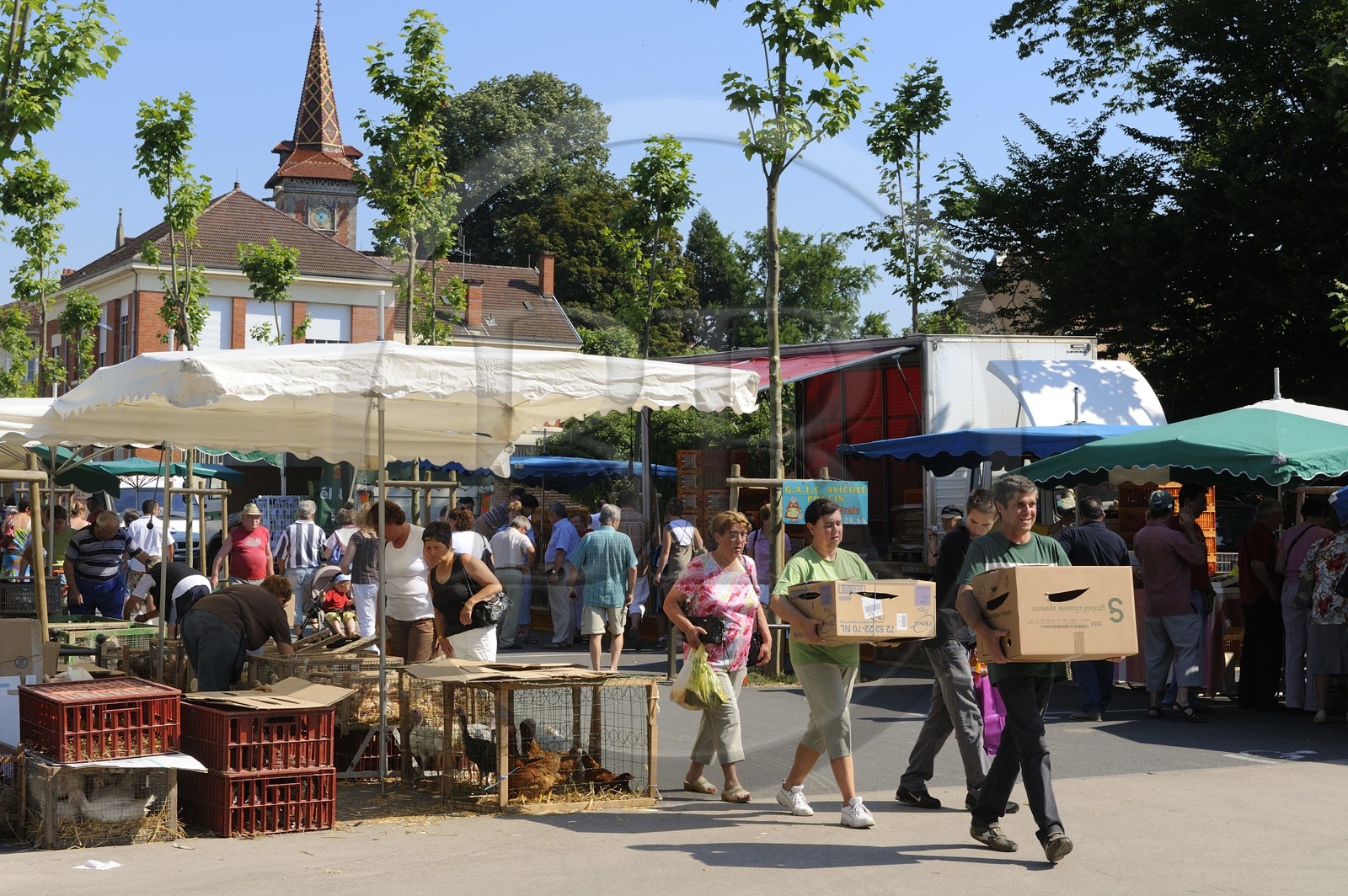France, Saône et Loire (71), Louhans, le marché à la volaille du lundi