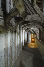 France, Loir et Cher, Loire Valley listed as World Heritage by UNESCO, Chateau de Blois, walkway from the medieval walls under the François 1er roof