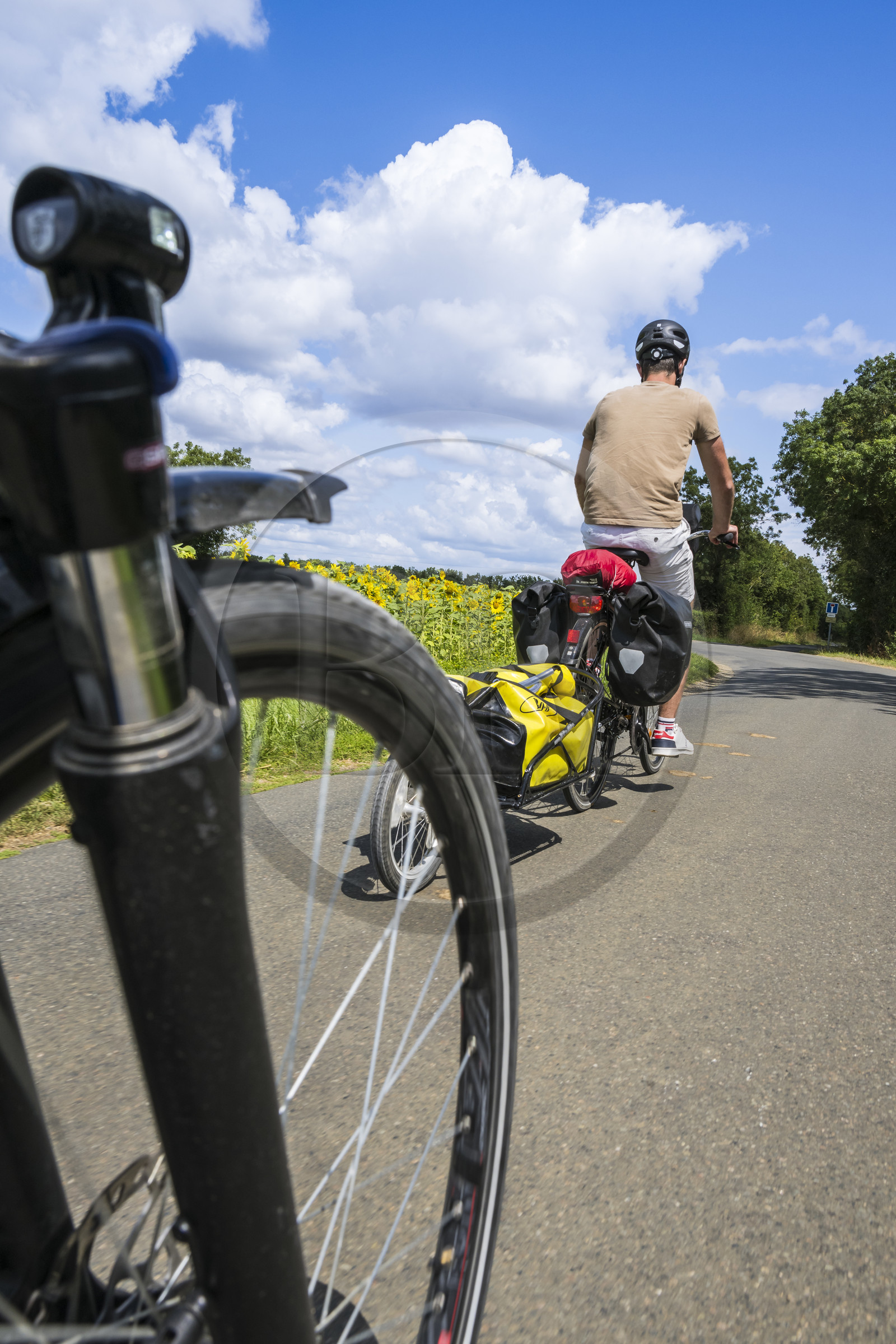 France, Deux-Sèvres (79), le Marais Poitevin, la Venise Verte, Magné, randonnée à bicyclette sur la voie cyclable de la Vélo Francette, vélo avec une remorque transportant le matériel de camping