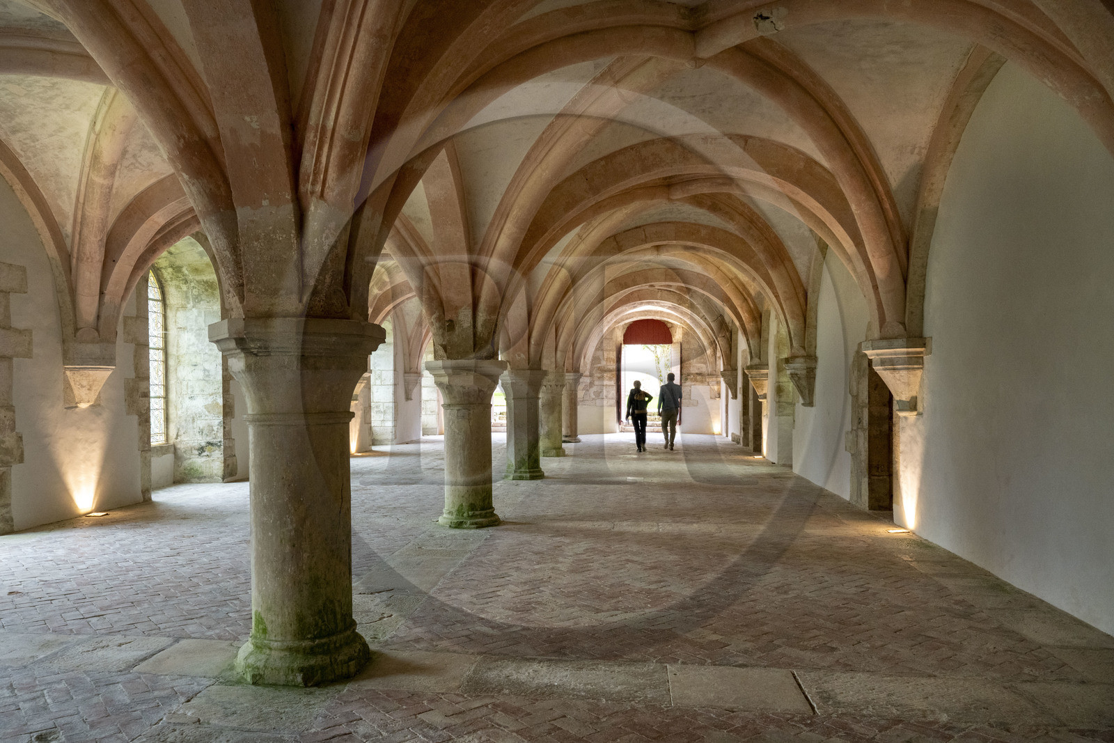 France, Côte-d'Or (21), Marmagne, l'abbaye cistercienne de Fontenay classée au Patrimoine Mondial de l'UNESCO, le scriptorium