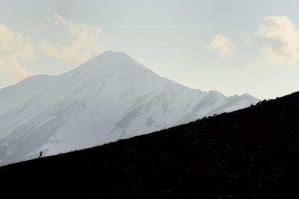Azerbaïdjan, région de Quba (Guba), chaine de montagne du Grand Caucase, randonnée entre le village de Qalaxudat et de Giriz, berger et son troupeau de moutons