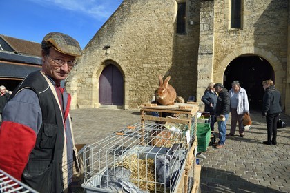 France, Calvados, Pays d'Auge, Saint Pierre sur Dives, market day in front of the 11th century covered market rebuilt in the 15th century, the breeder Pierre-Alain sells his rabbits alive