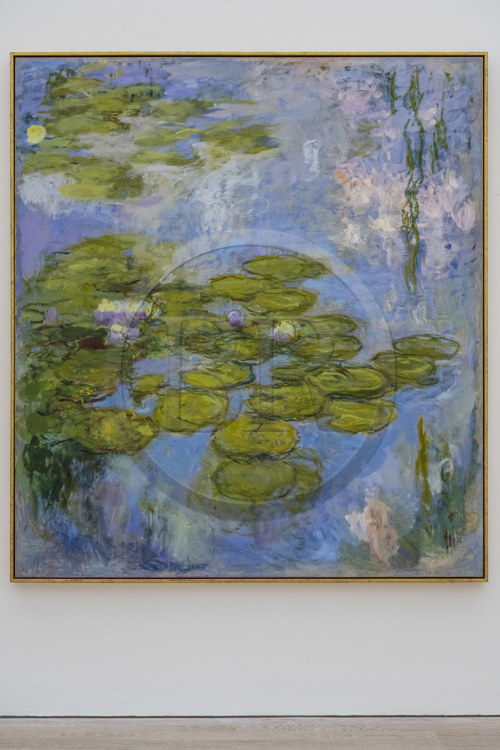 Suisse, Bâle, Riehen, fondation Beyeler, Nymphéas (1916-1919) de Claude Monnet