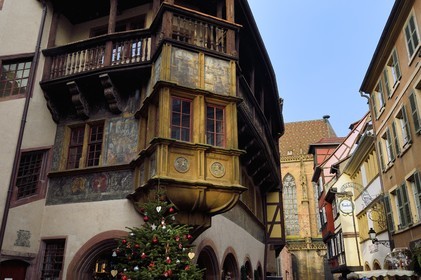 France, Haut Rhin, Colmar, Maison Pfister with Renaissance style (1537) in Rue des Marchands at Christmas and its oriel