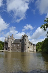 France, Morbihan, forest of Broceliande, Trecesson Castle