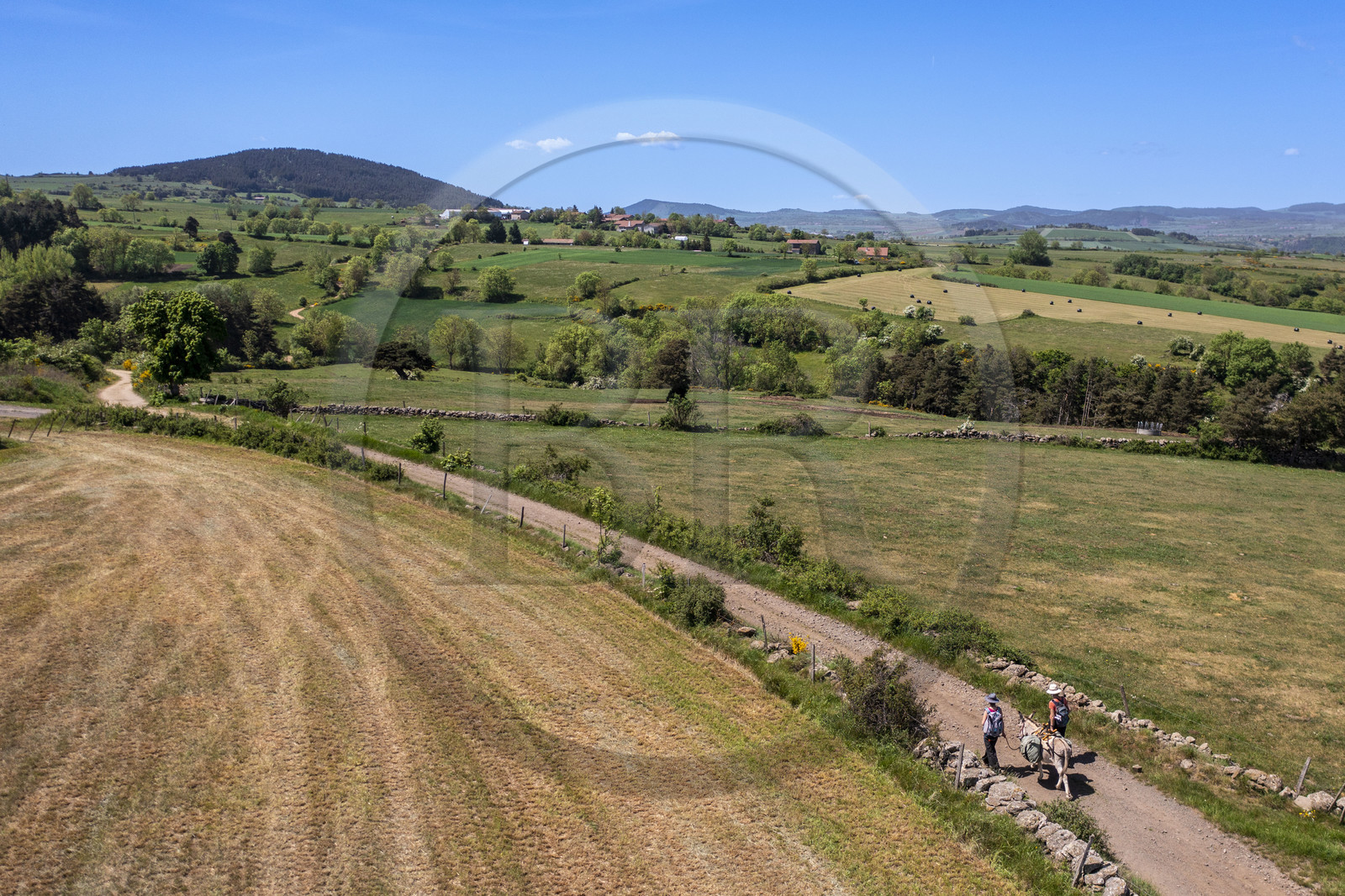 France, Haute-Loire (43), randonnée avec un âne sur le chemin de Stevenson (GR 70) entre Le Monastier-sur-Gazeille et Saint-Martin-de-Fugères (vue aérienne)