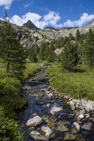 France, Alpes-Maritimes, Parc National du Mercantour (Mercantour national park), Haute Vesubie, Saint Martin Vesubie, Val du Haut Boréon, river along the GR 52 at Lac des Sagnes towards the Cougourde refuge