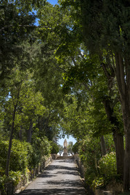 France, Bouches du Rhone, Tarascon, La Montagnette, Saint-Michel de Frigolet abbey (12th century), the Virgin Mary at the end of the tree-lined path